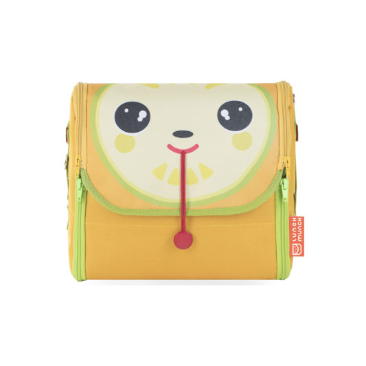 insulated lunch bag for kids